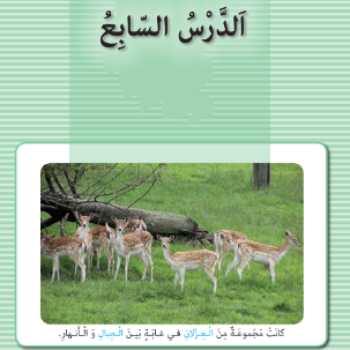 الدرس السابع - عربی 8