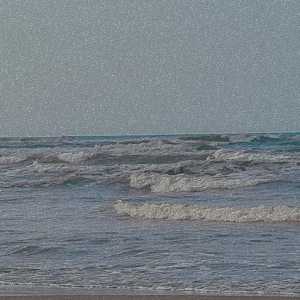 فاطمه برغمدی