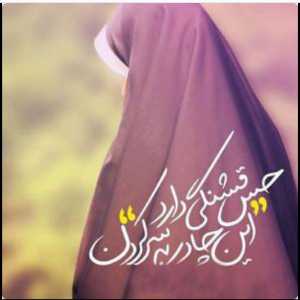 سید حلما جعفرپور