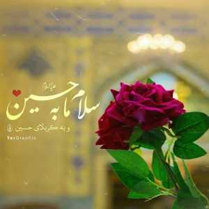 صبا احسانیان