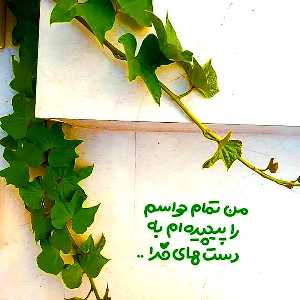 صبا احسانیان